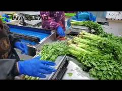 स्नैक बिस्किट तकिया पैकिंग मशीन स्वचालित मिठाई पैकिंग उपकरण