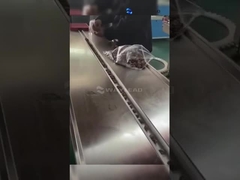 स्वचालित एचएफएस क्षैतिज प्रवाह पैकिंग मशीन वाणिज्यिक पॉप आइसक्रीम पैकिंग मशीन WZ-220