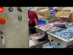 बैग पैकेजिंग मशीन की कुशल संचालन प्रक्रिया देखने के लिए आपका स्वागत है।