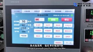 फास्ट लिक्विड पाउच पैकेजिंग मशीन WG250