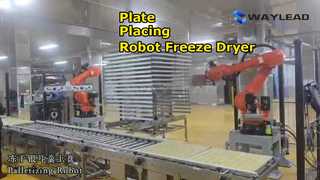 स्वचालित प्लेट प्लेसिंग रोबोट फ़्रीज़ ड्रायर पैकेजिंग मशीन