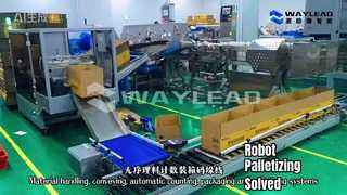 सामग्री प्रबंधन, संप्रेषण, स्वचालित गिनती, पैकेजिंग और पैलेटाइजिंग प्रणाली