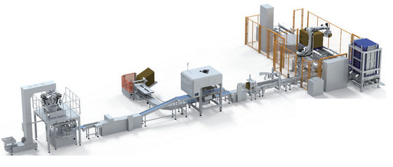 स्वचालित पैकिंग लाइन स्वचालित कार्टनिंग और पैलेटिंग लाइन