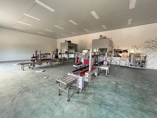 बनाने का कार्य स्वचालित पैकेजिंग लाइन 35-150 बैग/मिनट के लिए कार्टन आकार 250-350g/m2