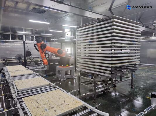 उच्च-दक्षता स्वचालित प्लेट प्लेसिंग रोबोट फ्रीज ड्रायर उत्पादन लाइनों के लिए अनुकूलित